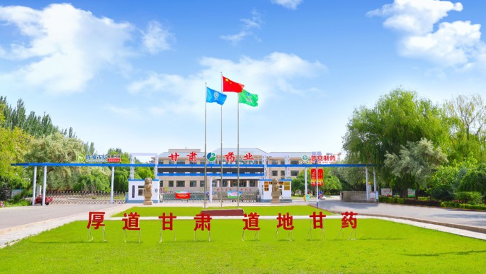 甘肃普安制药股份有限公司