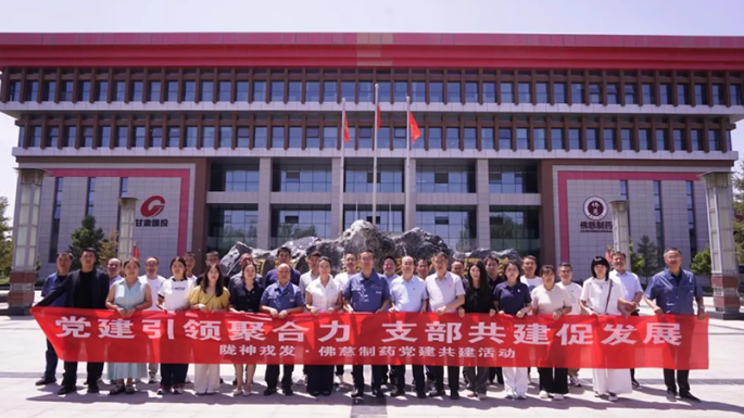 党建引领聚合力 支部共建促发展——星空电子戎发与佛慈制药支部共建活动圆满举行